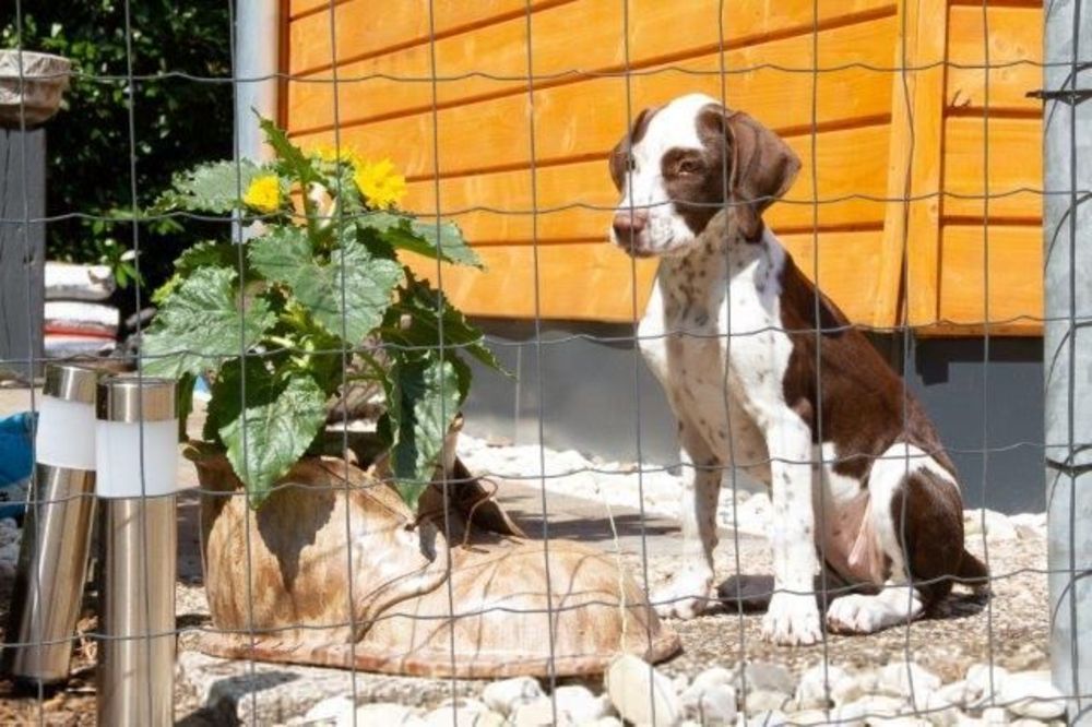 Zahlreiche Freizeitmöglichkeiten